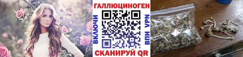 Галлюциногенные грибы Psilocybe  Болотное 